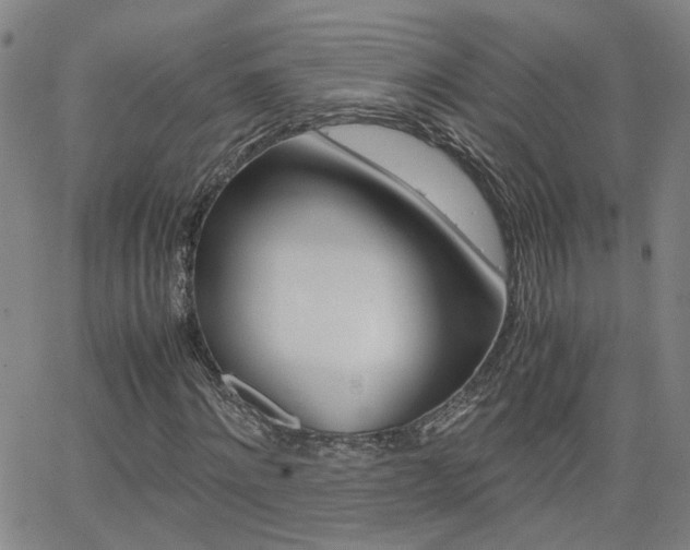 X0000062620868200512210909