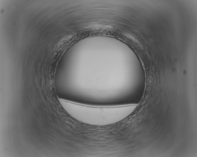 X0000062620869200512210909