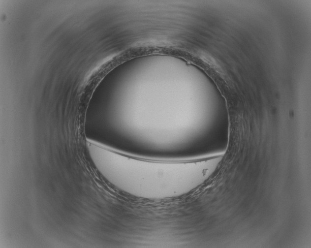 X0000062620872200512210909
