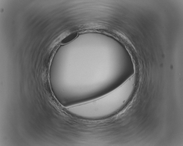 X0000062620873200512210909