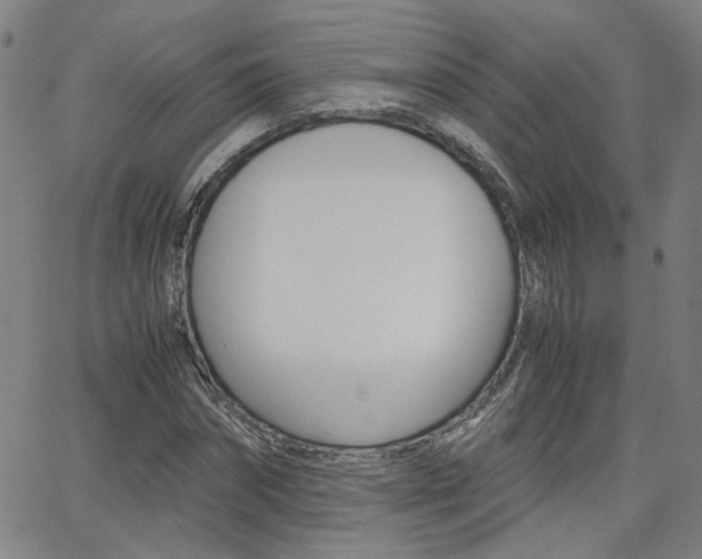 X0000062620874200512210909