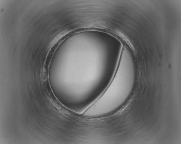 X0000062620876200512210909