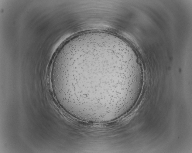 X0000062620883200512210909
