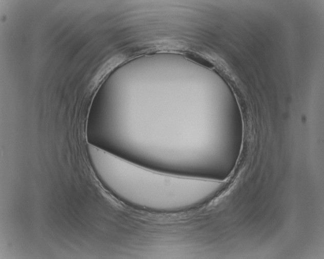 X0000062620889200512210909