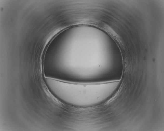 X0000062620892200512210909