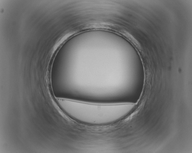 X0000062620893200512210909