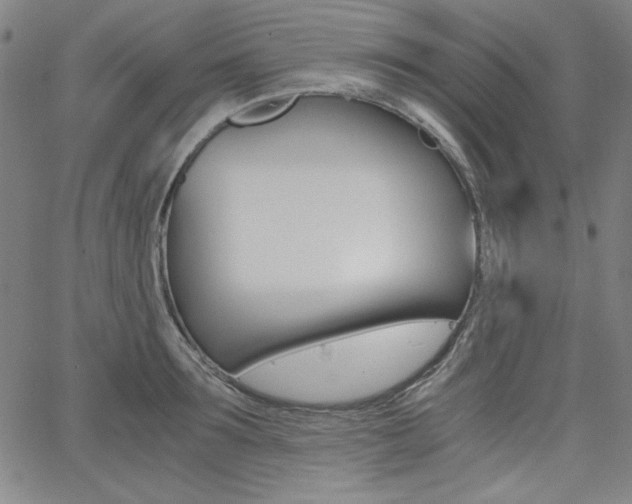 X0000062620899200512210909