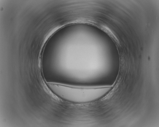 X0000062620900200512210909