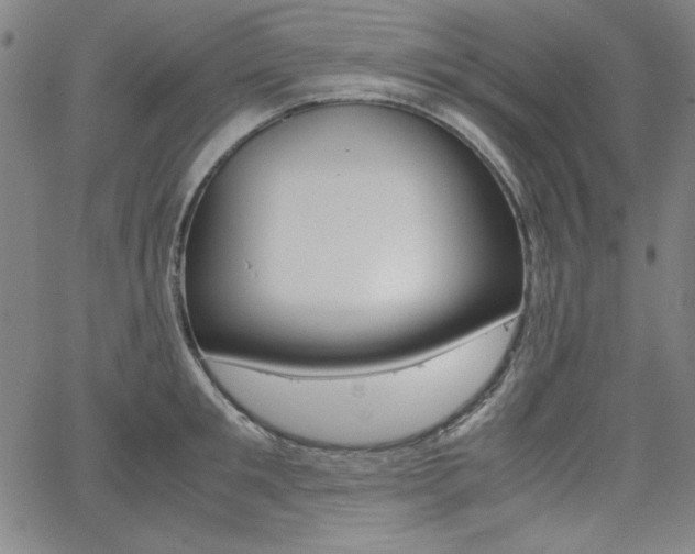 X0000062620901200512210909