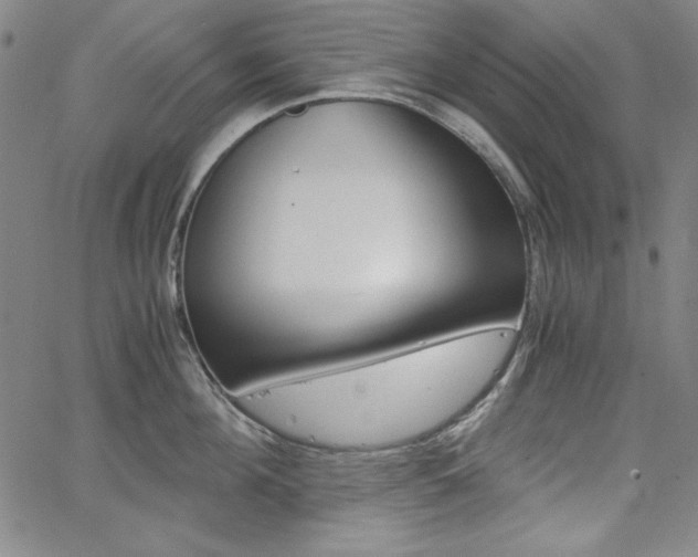 X0000062620908200512210909
