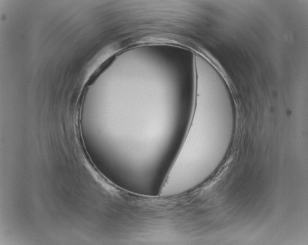 X0000062620909200512210909