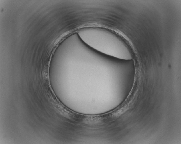 X0000062620929200512210908