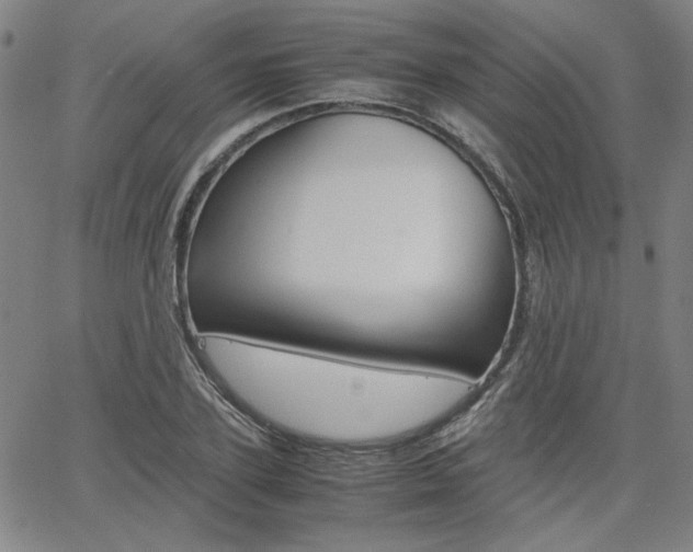X0000062620931200512210908