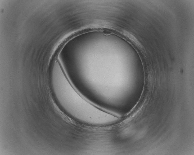 X0000062620934200512210908