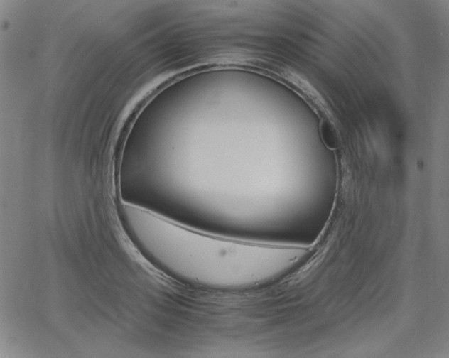 X0000062620939200512210908