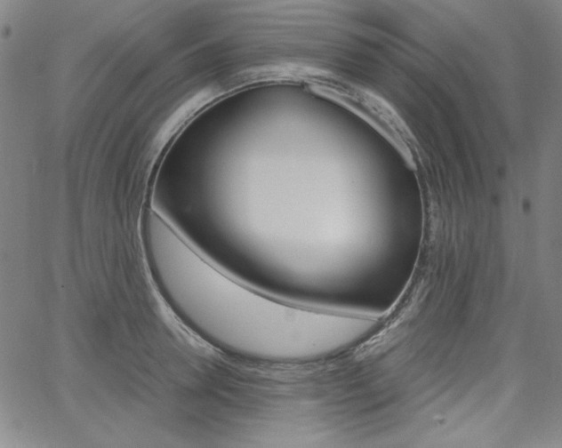 X0000062620946200512210908