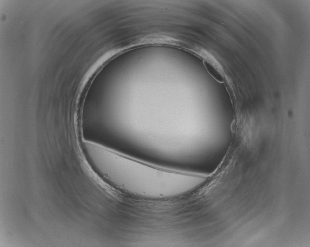 X0000062620947200512210909