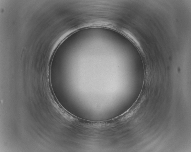X0000062620948200512210909
