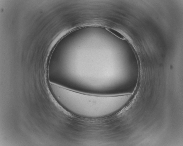X0000062620949200512210909
