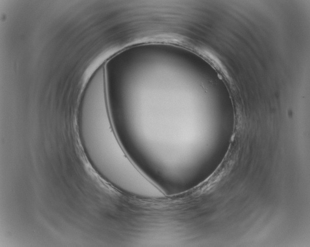 X0000062620952200512210909