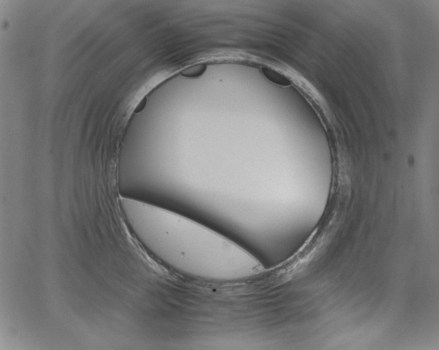 X0000062620953200512210909