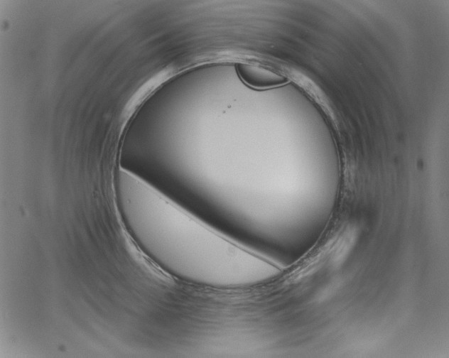 X0000062620954200512210909