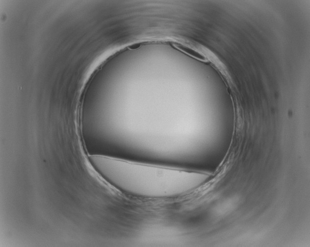 X0000062620958200512210909