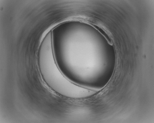 X0000062620960200512210909