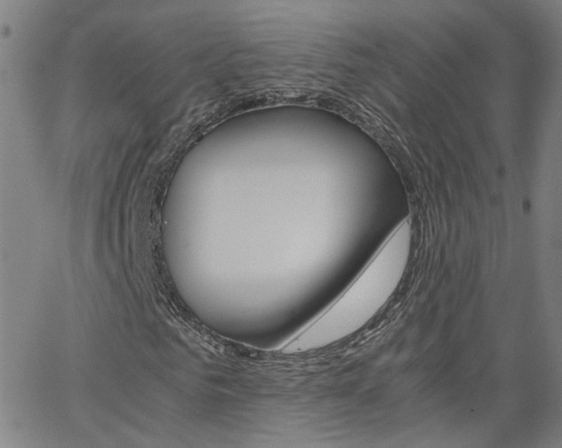 X0000062620961200512210908