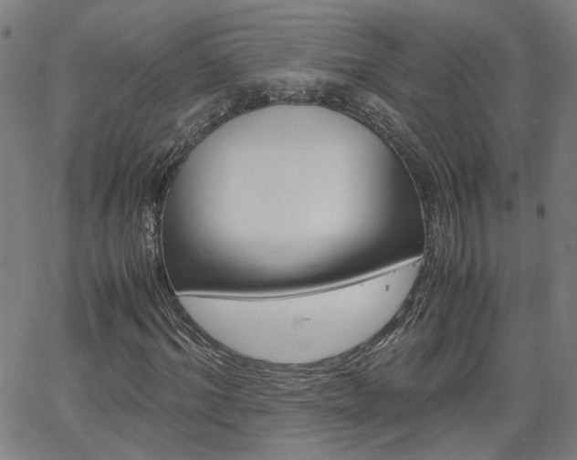 X0000062620964200512210908