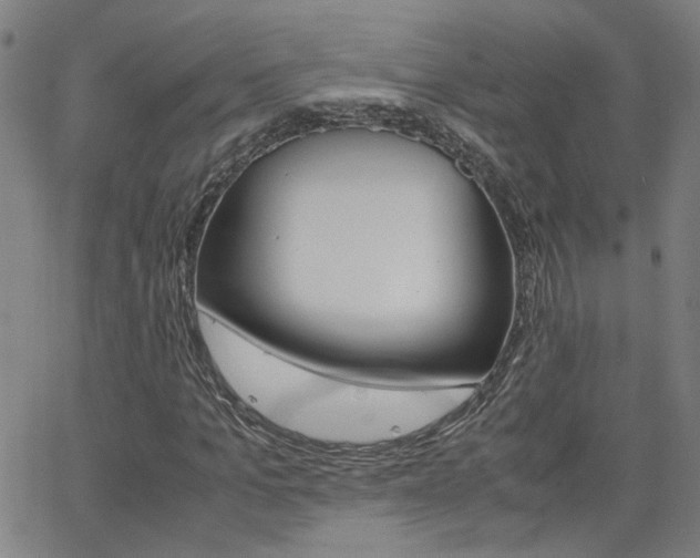 X0000062620965200512210908