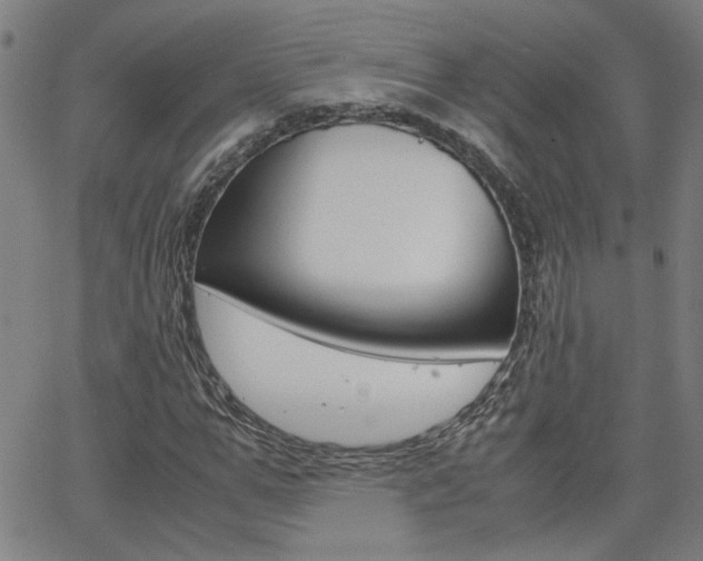 X0000062620967200512210908