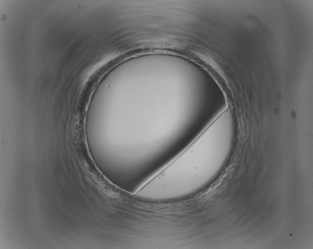 X0000062620971200512210908
