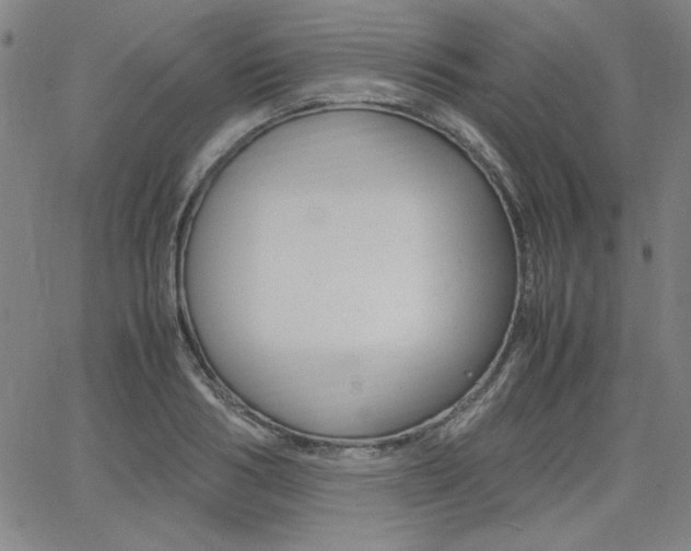 X0000062620986200512210908