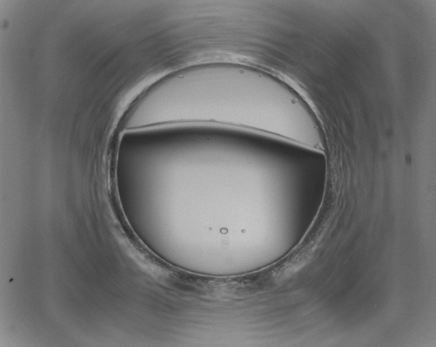 X0000062620987200512210907
