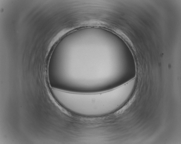 X0000062620989200512210907
