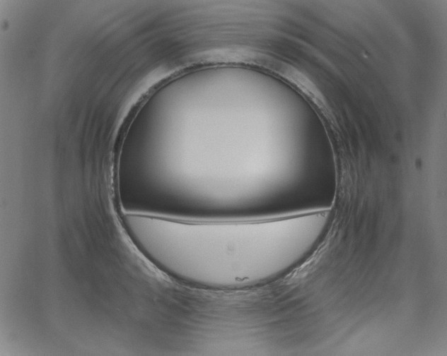 X0000062620992200512210907
