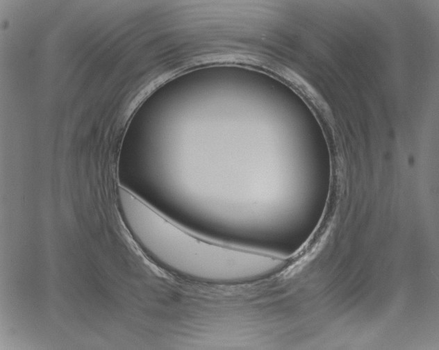 X0000062620993200512210907