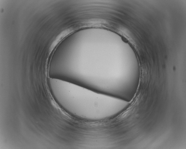 X0000062620994200512210907