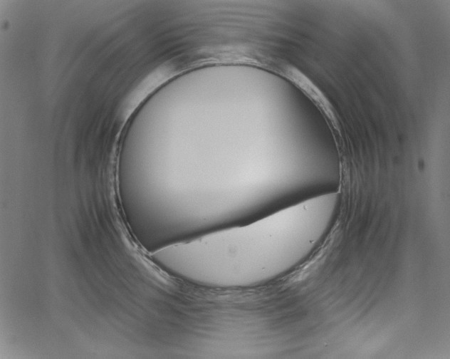 X0000062621002200512210907