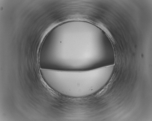 X0000062621004200512210907