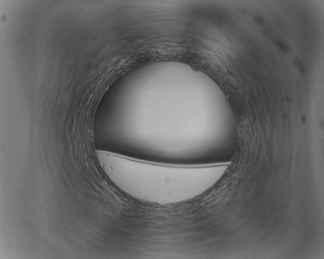 X0000062621009200512210906