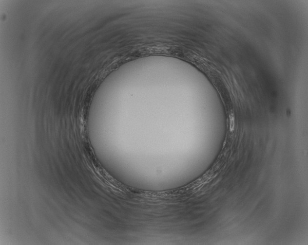 X0000062621011200512210906