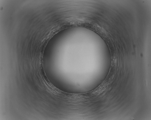 X0000062621012200512210906