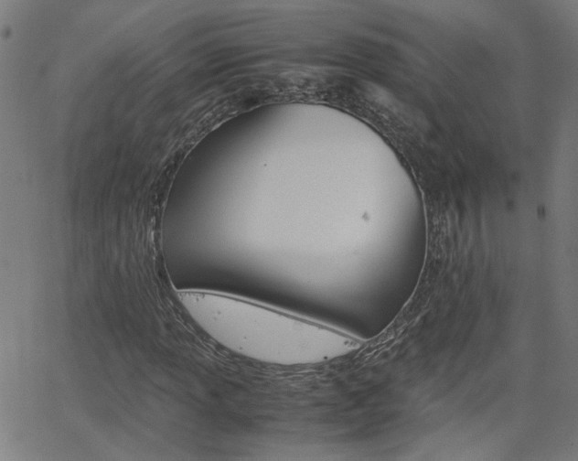 X0000062621013200512210906