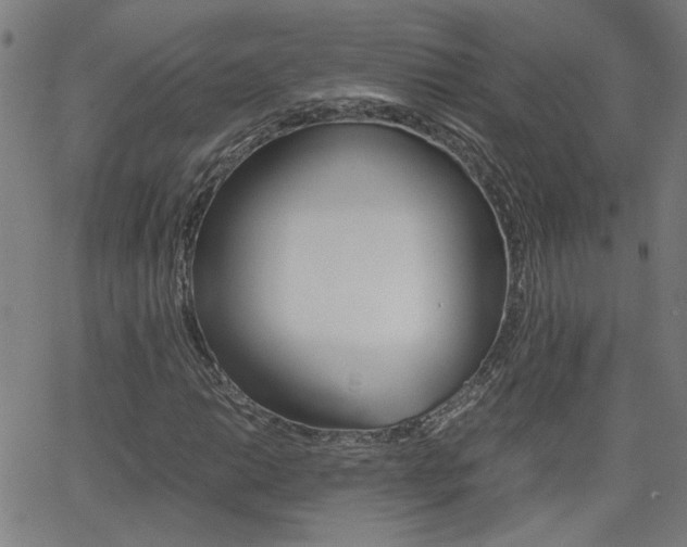 X0000062621014200512210906