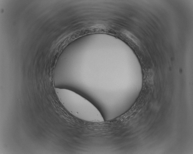 X0000062621015200512210906