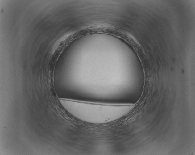 X0000062621016200512210906