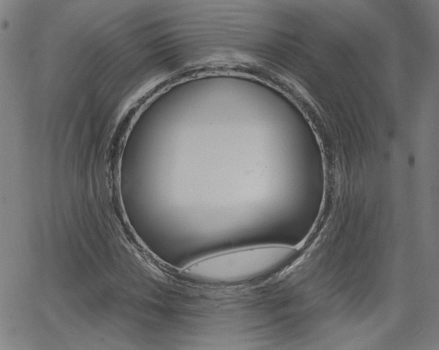 X0000062621018200512210906
