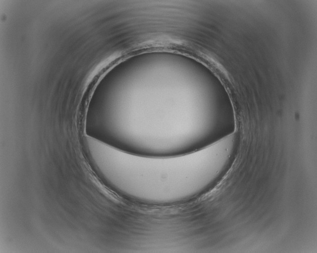 X0000062621026200512210907